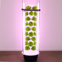 Indoor Hydroponik-Turm – Aeroponisches Pflanzsystem mit 9 Ebenen mit insgesamt 36 Pflanzlöchern Indoor Hydroponik-Turm – Aeroponisches Pflanzsystem mit 9 Ebenen mit insgesamt 36 Pflanzlöchern