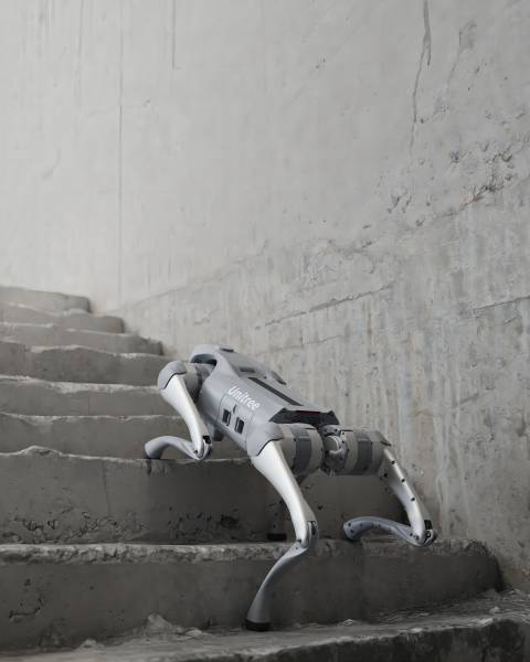 Unitree Go2 - Robot hond