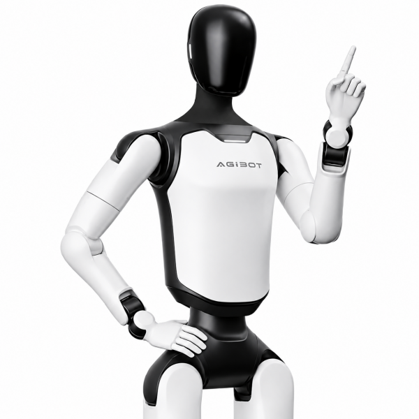 AgiBot A3 & A3 Developer