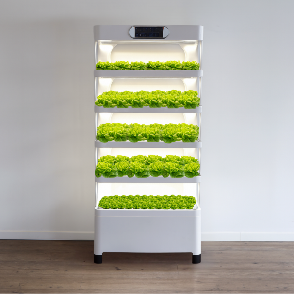 Hydroponic growing system with 157 planting and germination holes
