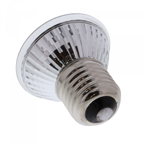 Halogenlampe 50W mit E27 Fassung für Solarzellen-Experimente