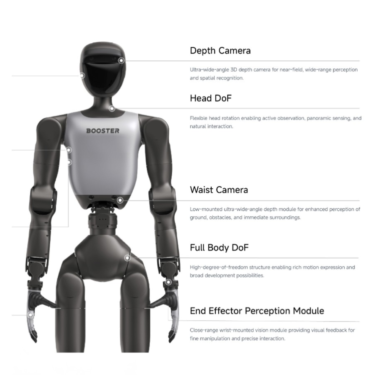 Sensorik und Freiheitsgrade des Booster Robotics T2 Pro