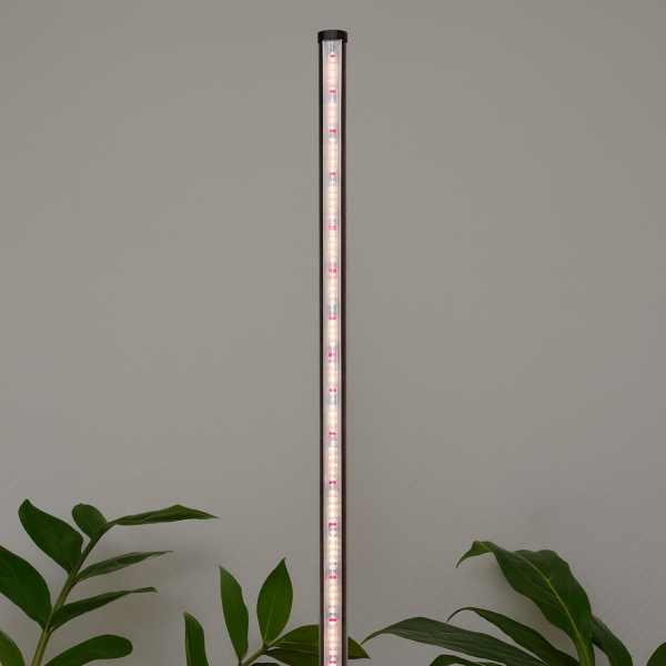 Lampe pour plantes, lumière végétale à spectre complet pour plantes d'intérieur 160cm, 250 LED