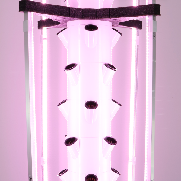 Hydrokultur System 100cm - 36 Löcher NFT Anlage Für Indoor Gardening