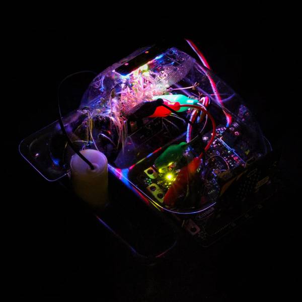 Kitronik Smart Greenhouse Kit / Serre pour BBC micro:bit