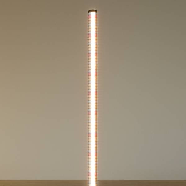 Lampe pour plantes, lumière végétale à spectre complet pour plantes d'intérieur 160cm, 250 LED